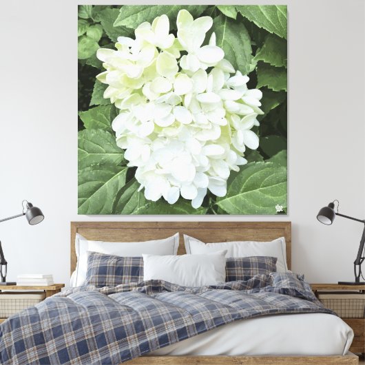 Hydrangea - Wit - Canvas Print (Insitu (Slaapkamer))
