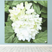 Hydrangea - Wit - Canvas Print (Insitu (Houten vloer))