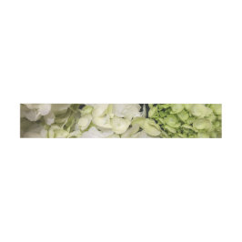 Hydrangea Wit Groen Bruiloft Suite Uitnodigingen Wikkel