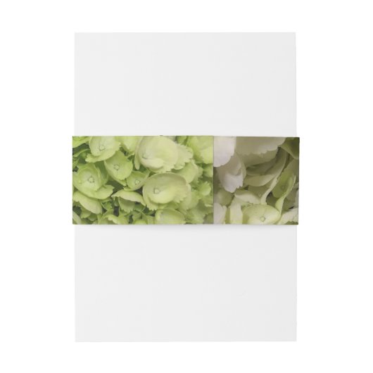 Hydrangea Wit Groen Bruiloft Suite Uitnodigingen Wikkel (Achterkant Voorbeeld)