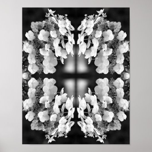 Hydrangea Zwart En Wit Spiegel Abstract Poster (Voorkant)