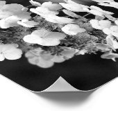 Hydrangea Zwart En Wit Spiegel Bloemstuk Poster (Hoek)