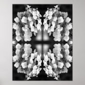 Hydrangea zwart-wit spiegel Abstract Poster (Voorkant)