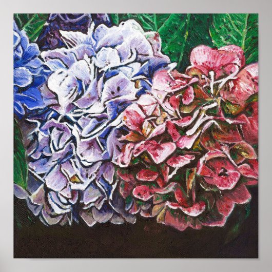 Hydrangeas 2010 poster (Voorkant)