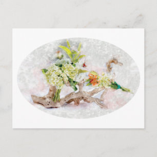Hydrangeas Bella Waterverf Briefkaart
