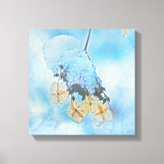 Hydrangeas, bevroren canvas afdruk (Voorkant)