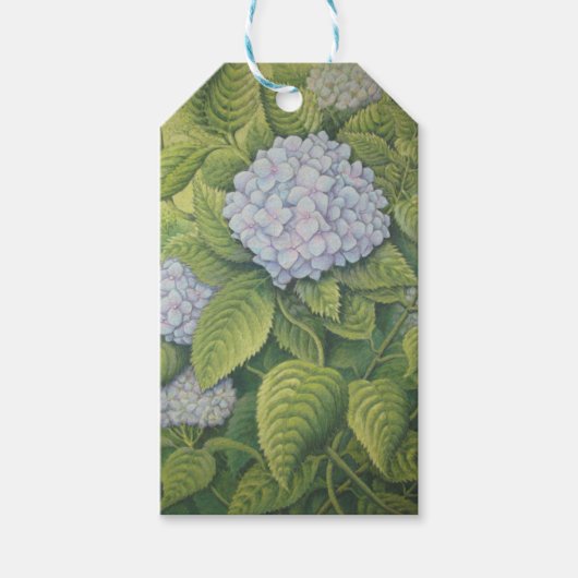 Hydrangeas bij Lanhydrock, Cornwall in Pastel Cadeaulabel (Voorkant)