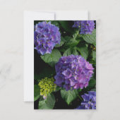 Hydrangeas blauw paarse bloementuin RSVP Kaartje (Achterkant)