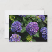 Hydrangeas blauw paarse bloementuin save the date (Achterkant)