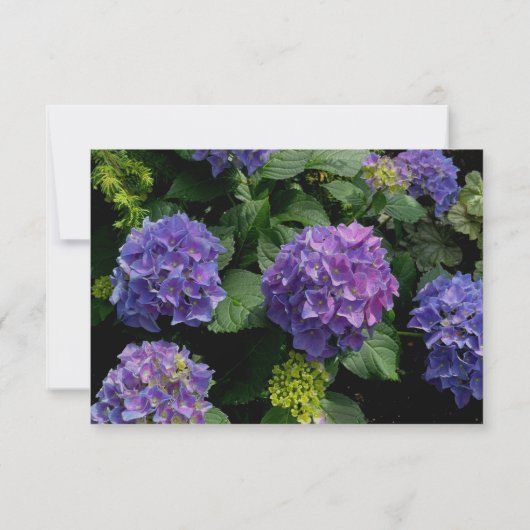 Hydrangeas blauw paarse bloementuin save the date (Achterkant)