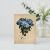 Hydrangeas  Botanisch Briefkaart (Staand voorkant)