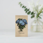 Hydrangeas  Botanisch Visitekaartje (Staand voorkant)
