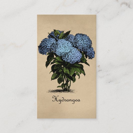 Hydrangeas  Botanisch Visitekaartje (Voorkant)