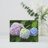 Hydrangeas Briefkaart (Staand voorkant)
