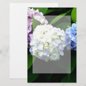 Hydrangeas Briefpapier (Voorkant / Achterkant)