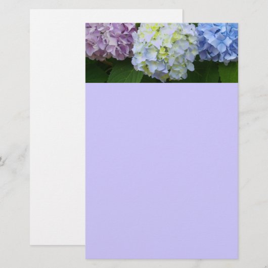 Hydrangeas Briefpapier (Voorkant / Achterkant)
