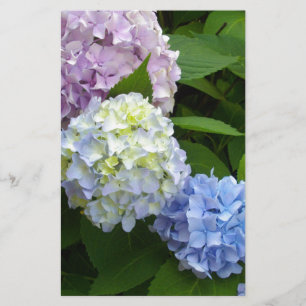 Hydrangeas Briefpapier