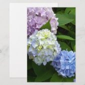 Hydrangeas Briefpapier (Voorkant / Achterkant)