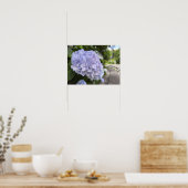 Hydrangeas by the Roadside – Nature Photography Poster (Keuken)