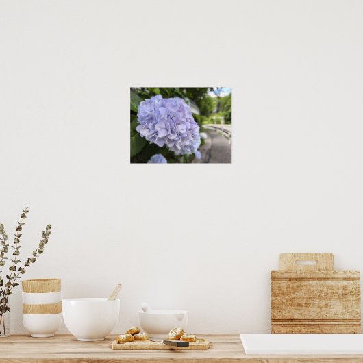 Hydrangeas by the Roadside – Nature Photography Poster (Keuken)