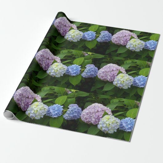 Hydrangeas Cadeaupapier (Uitgerold)