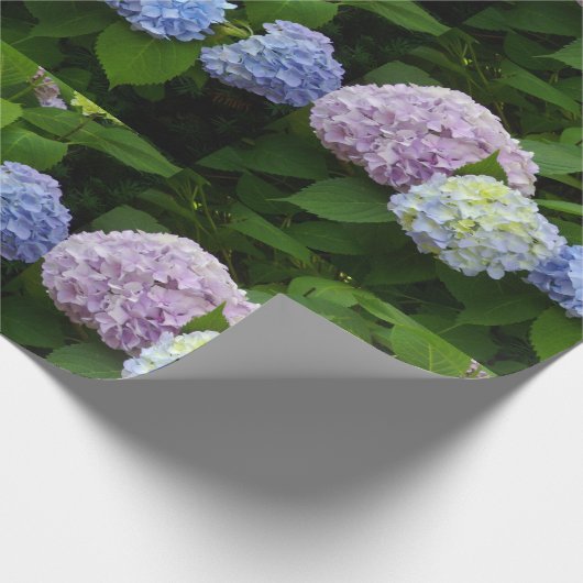 Hydrangeas Cadeaupapier (Hoek)