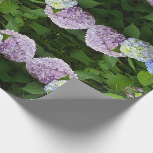 Hydrangeas Cadeaupapier (Hoek)