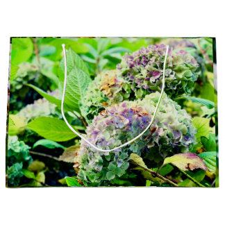 Hydrangeas cadeautas