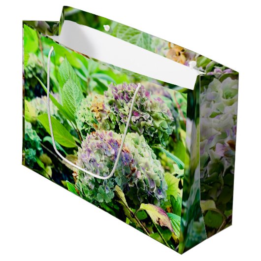 Hydrangeas cadeautas (Voorkant Gekanteld)