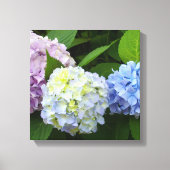 Hydrangeas Canvas Afdruk (Voorkant)