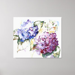 Hydrangeas Canvas Afdruk