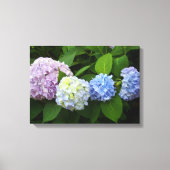 Hydrangeas Canvas Afdruk (Voorkant)