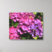 Hydrangeas Canvas Afdruk (Voorkant)