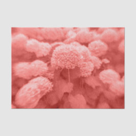 Hydrangeas Coral White Elegant  Floral Tissuepapier