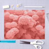 Hydrangeas Coral White Elegant  Floral Tissuepapier (Craft)