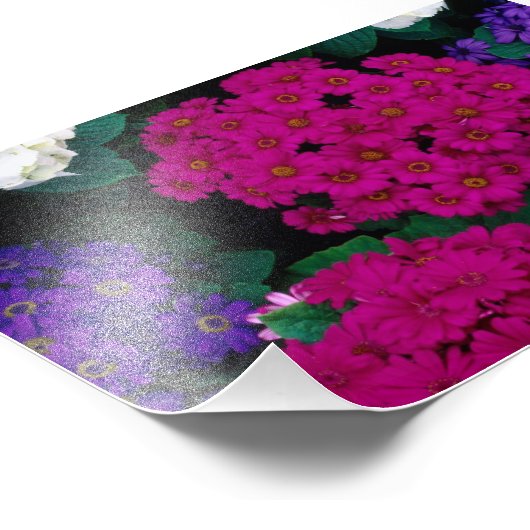 HYDRANGEAS DARK PINK PURPLEMENTEERT DE NATUUR VAN  FOTO AFDRUK (Hoek)