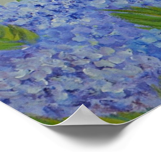 Hydrangeas door het Poster van het Zee (Hoek)