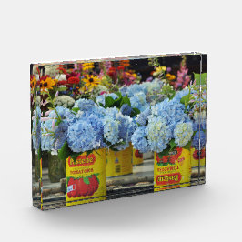 Hydrangeas en bloemen, vers, in tomatenkans fotoblokken