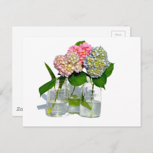 Hydrangeas en Mason jar Briefkaart (Voorkant / Achterkant)