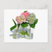 Hydrangeas en Mason jar Briefkaart (Voorkant)