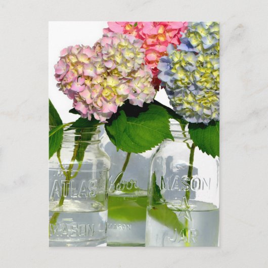 Hydrangeas en Mason jar Briefkaart (Voorkant)