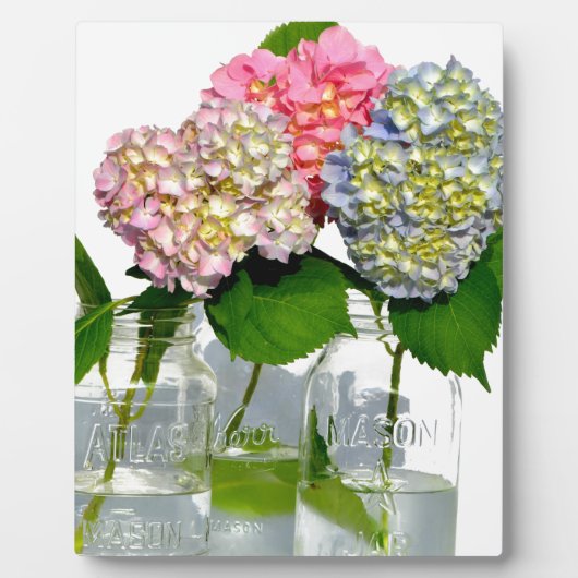 hydrangeas en mason jar fotoplaat (Voorkant)