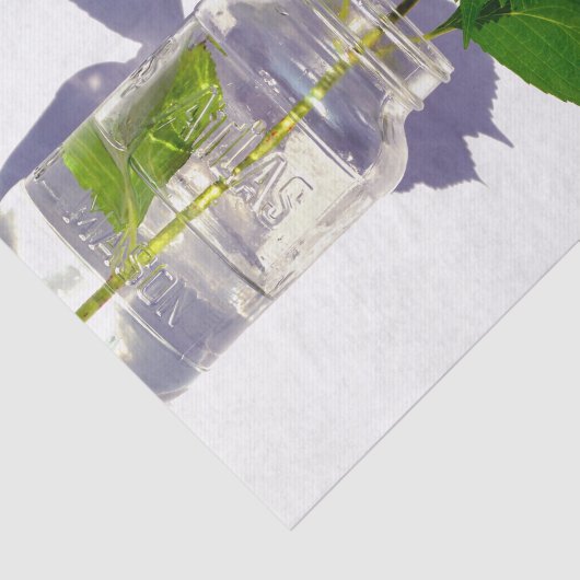 hydrangeas en mason jar tissuepapier (Detail)