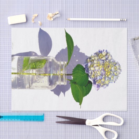 hydrangeas en mason jar tissuepapier (Craft)