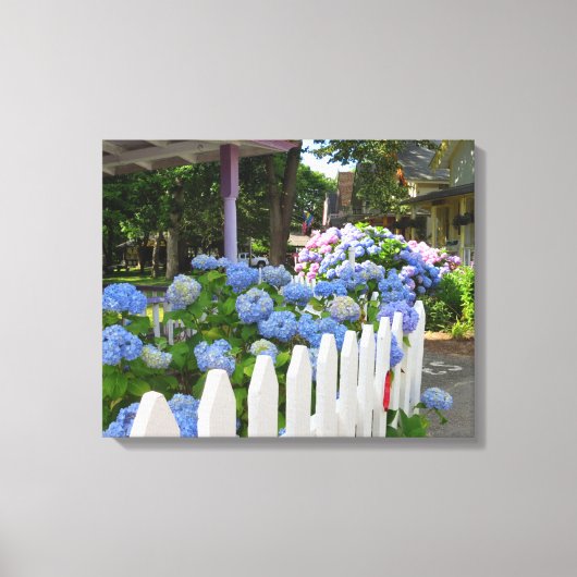 Hydrangeas en Picket Fence - Martha's wijngaard Canvas Afdruk (Voorkant)
