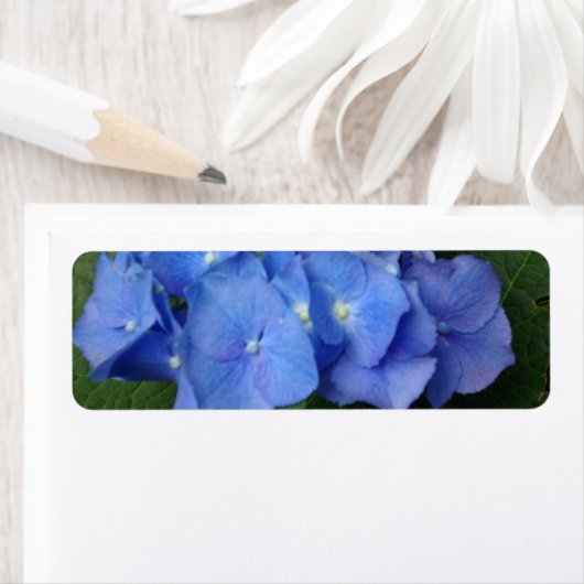 Hydrangeas Etiket (Insitu)