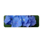 Hydrangeas Etiket (Voorkant)