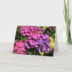 Hydrangeas Feestdagen Kaart