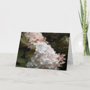 Hydrangeas Floral Birthday Kaart