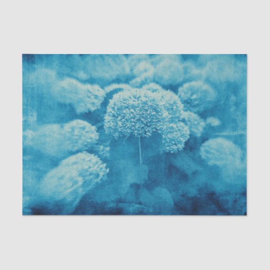 Hydrangeas Floral Chic Blue Blauwgroen  textuur Tissuepapier (Voorkant)